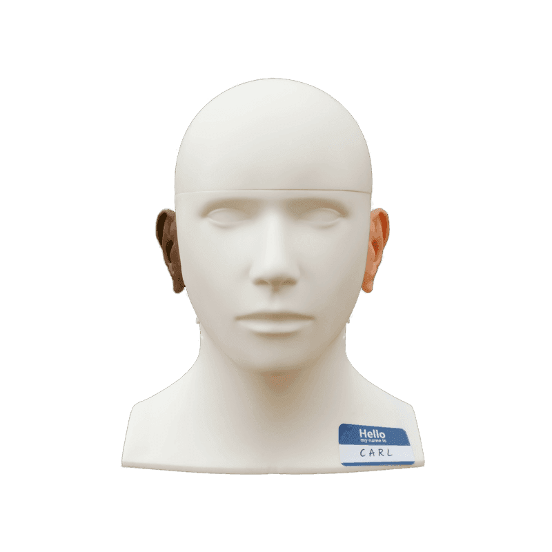 AHead-Simulations-CARL